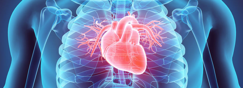 Cardiovascular Network partners with Glasgow University for public innovation showcase