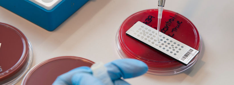 Infectious diseases role opportunity for resident doctors