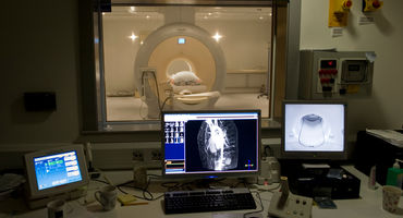 Metabolic and Endocrine Studies