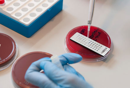 Funding opportunity for the establishment of an integrated UK Rare Disease Research Platform (nodes)