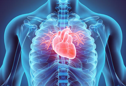 Cardiovascular Network partners with Glasgow University for public innovation showcase