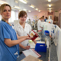 Much-needed funding provided to launch two Patient and Public Involvement (PPI) projects in Oral and Dental Health